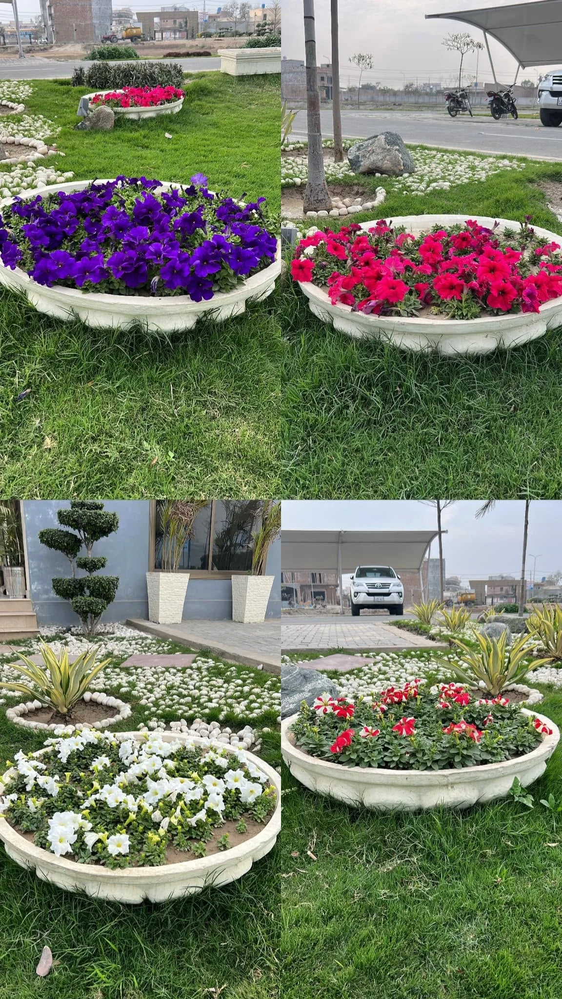 Pine Villas flowers and landscaping photo