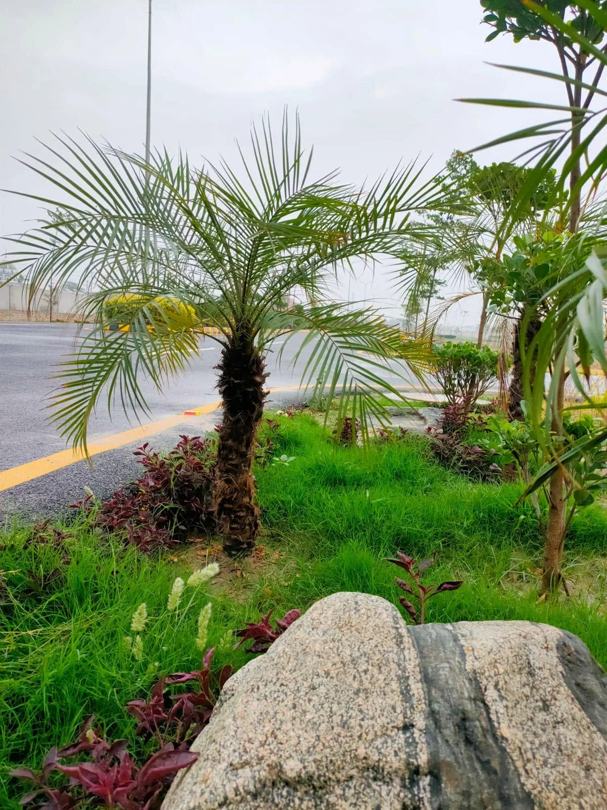 Pine Villas green landscaping and roadway