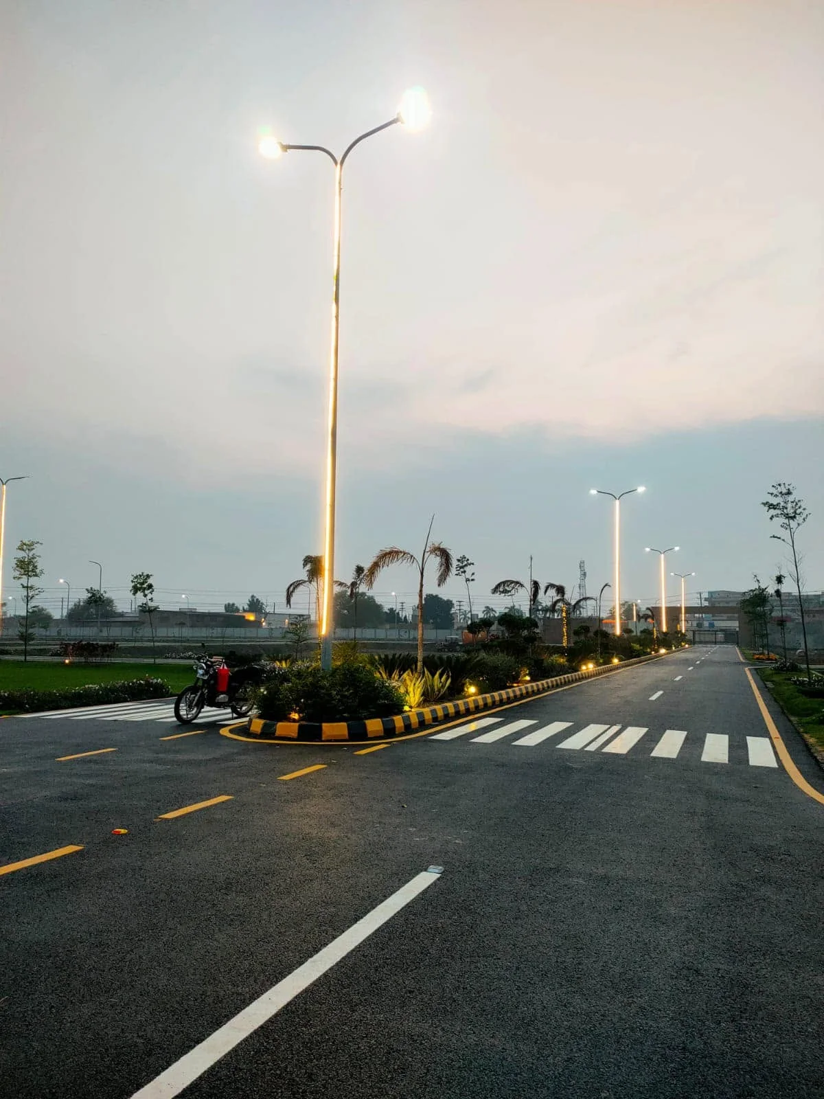 Pine Villas site road and greenery photo